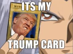 TrumpMemeHairCats - Trump Hair Inspires Feline Copycats