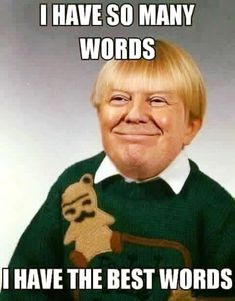 TrumpMemeLegoBorder - Build Your Own Trump Wall Kit