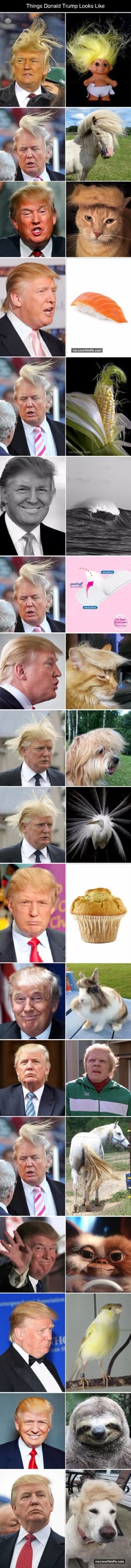 TrumpMemeSmallHandSoap - Trump Small Hand Soap Product Parody